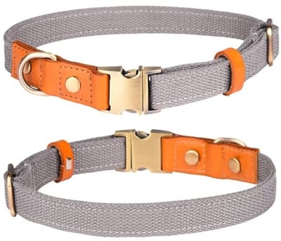 Dailygoods- Halsband Verstelbaar - Nylon/Huisdierhalsband - Roestvrij Stalen Gesp - Lichtgewicht/Zacht - Ademend/Huidvriendelijk - Geschikt voor Kleine/Middelgrote/Grote Honden - Hondenhalsband