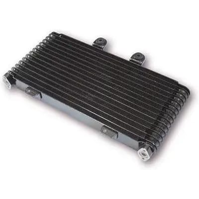 Motorradiateur Brazoline Suzuki GSF 1200 BANDIT WVA9 01/05