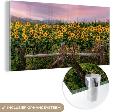 MuchoWow® Glasschilderij 40x20 cm - Schilderij acrylglas - Zonnebloem - Bloemen - Planten - Foto op glas - Schilderijen