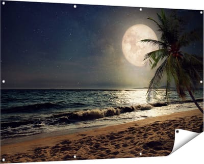 Gards Tuinposter Tropisch Strand in de Nacht met Volle Maan - 150x100 cm - Tuindoek - Tuindecoratie - Wanddecoratie buiten - Tuinschilderij