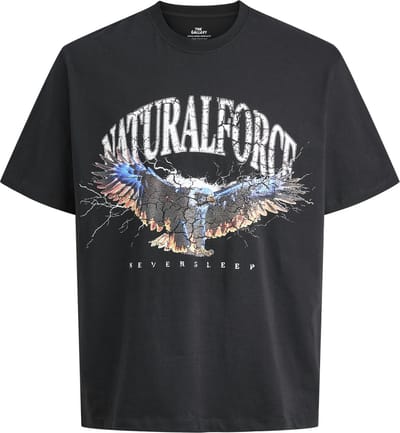 JACK&JONES - JOREAGLEROCK GALLERY TEE SS CREW NECK TG - Heren - T-shirts
