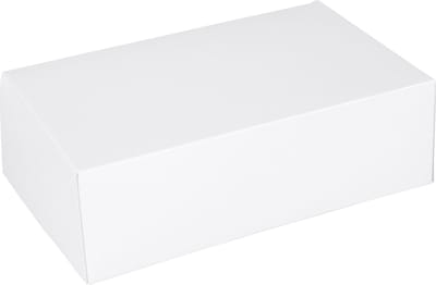 Gebaksdoos | karton | 24x16x8cm | wit | 300 stuks