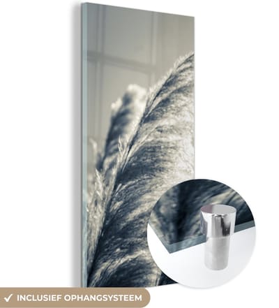 MuchoWow® Glasschilderij 20x40 cm - Schilderij acrylglas - Pampasgras - Zwart - Wit - Natuur - Foto op glas - Schilderijen