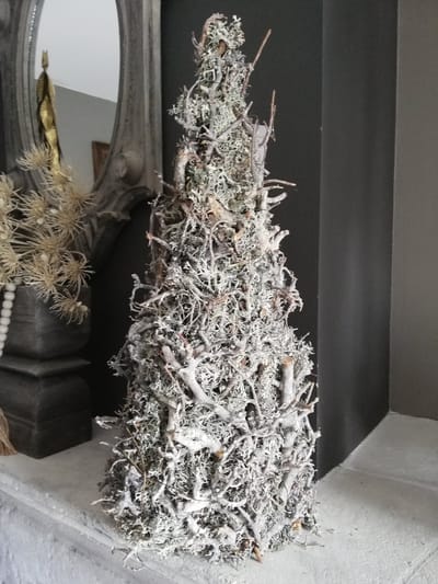 Couronne - Boompje van bonsai 'Moss' (White wash, 50cm)