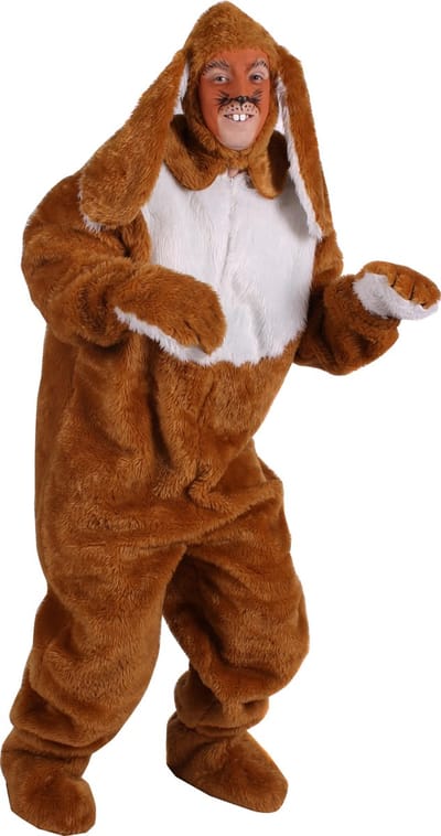 Paashaas Kostuum Volwassenen Unisex Bruin Dieren Maat One size