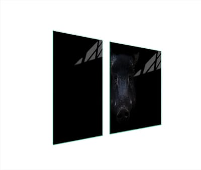 TMK ArtDeko - Beschermende Glazen Plaat - 90x52 cm - Wilde Dieren Design - Sneeuwpanter