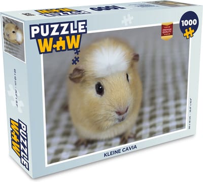 Puzzel Kleine cavia - Legpuzzel - Puzzel 1000 stukjes volwassenen
