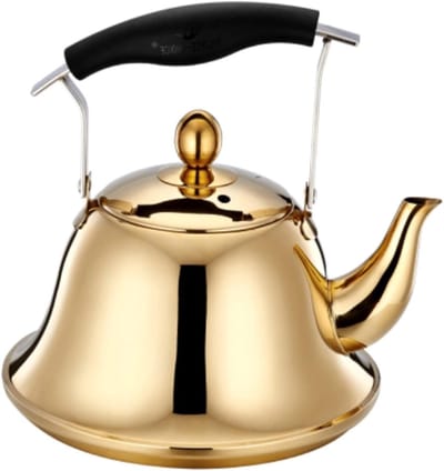 Fluitende theepot - Waterkoker fornuis - Water koken - Anti-verbrandingsgreep - 3 liter - Zilver