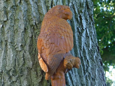 Papegaai XL in Oxide - Gietijzer - Wanddecoratie
