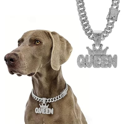 Hondenhalsband Koning/Koningin Hip Hop Legering Goud Verguld Volledig Diamant Volledig Diamant Grote Gouden Ketting Cubaanse Voor Kleine Middelgrote Grote Honden (as the picture,25cm)