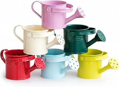 Mini Gieter Set - Kleine Gieters - Planten Water Geven - Lange Tuit Ontwerp - 6 Stuks - Kleurrijk