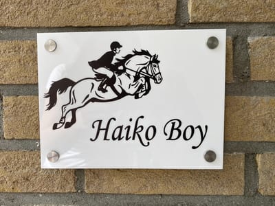 Naambordje / huisnummer voordeur springpaard met ruiter wit