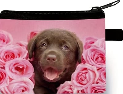 Gemakkelijk om erbij te hebben, dit handige rits portemonneetje 10x14cm. Een mooie afbeelding van een hond tussen de roze rozen. Erg leuk om voor jezelf te kopen of om cadeau te geven. Ook leuk bij Sinterklaas, Kerst of vakantie.