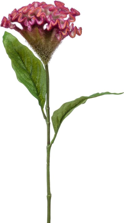 Emerald - Kunstbloem Celosia 62cm roze - Kunstplant voor binnen