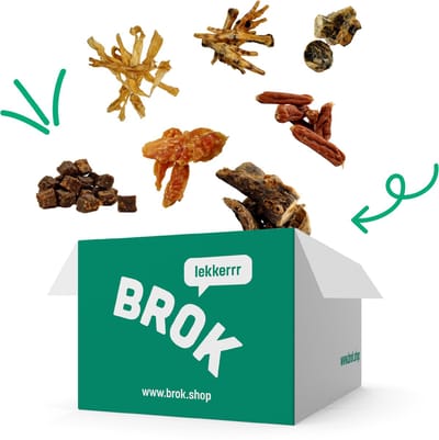 Kleine Honden Snackpakket - 100% Natuurlijke Hondensnacks Ideaal Voor kleine honden - Gezond, Licht Verteerbaar, Zonder Toevoegingen – 1,4kg