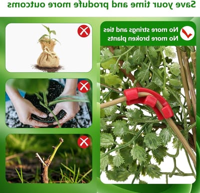 Verstelbare Groei Clips voor Planten - 100 Stuks - Ondersteuning voor Plantstelen, Verbeterde Luchtcirculatie en Herbruikbaar voor Stressvrije Groei