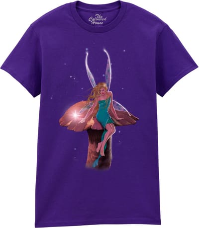 A Fairy's Wish The Coloured House T-shirt M