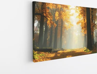 Saammp Canvas Schilderij - pad tussen de hoge bomen - Natuur - Landschap - 45x30 - Foto op canvas - Wanddecoratie - Muurdecoratie Woonkamer - Slaapkamer decoratie - Canvas Print