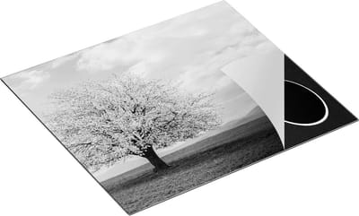 Chefcare Inductie Beschermer Roze Sakura Bloesem Boom in het Groene Veld - Zwart Wit - 60x50 cm - Afdekplaat Inductie - Kookplaat Beschermer - Inductie Mat