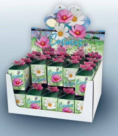 Sluis Garden - Greengift, Cosmos 40 stuks in showdoos