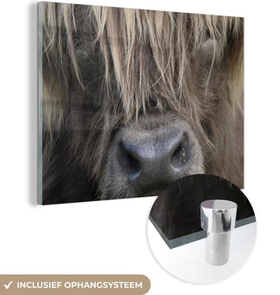 MuchoWow® Glasschilderij 160x120 cm - Schilderij acrylglas - Schotse Hooglander - Bruin - Neus - Foto op glas - Schilderijen