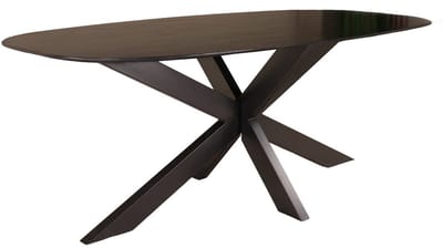 Eettafel deens ovaal mangohout 200cm Austin zwart ovale tafel duurzaam mango eetkamertafel