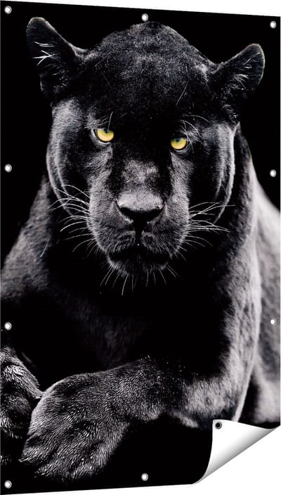 Gards Tuinposter Zwarte Panter - 80x120 cm - Tuindoek - Tuindecoratie - Wanddecoratie buiten - Tuinschilderij