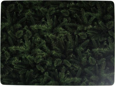 placemat dennentakken 30x40cm (4)*