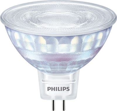 Philips Master LED-lamp - 30744500 - E39V4