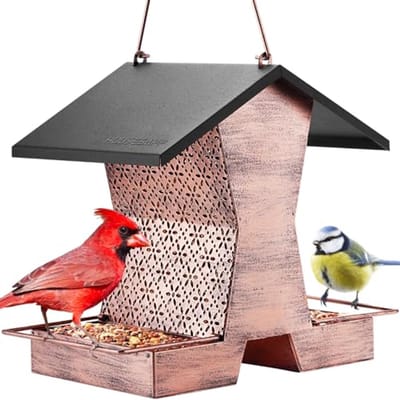 Vogelvoederbak voor buiten - Grote capaciteit 1,1 kg - Ideaal voor wilde vogels - Perfect cadeau voor vogelliefhebbers