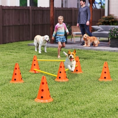 MEUNIQ agility set voor honden met 3 hordes, 6 kegels en draagtas, verstelbare hoogte 6/13,5/20,5 cm, kunststof hindernisset voor hondentraining, oranje