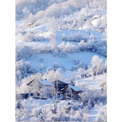 Diamant Borduurwerk Winter Sneeuw Boom 5d Diy Diamant Mozaïek Landschap Diamant Schilderij Huisdecoratie 20X30CM gray