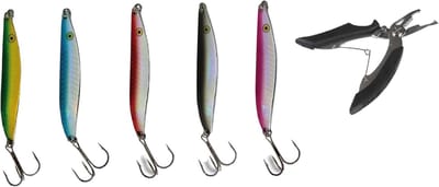 Vislokaas Set - Knipperlichten Vissen - Zoutwater Vissen - Prisma Kleuren Glinsteren - 9 cm 24 gram - Zilver
