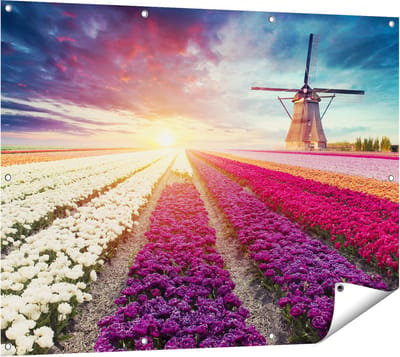 Gards Tuinposter Kleurrijke Tulpen Bloemenveld - Windmolen - 120x90 cm - Tuindoek - Tuindecoratie - Wanddecoratie buiten - Tuinschilderij