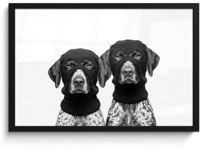 Poster in lijst - Fotolijst 60x40 cm - Posters - Honden - Bivakmuts - Zwart - wit - Posterlijst zwart - Decoratie - Wanddecoratie woonkamer - Muurdecoratie slaapkamer