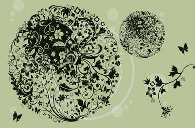 Flowers Floral Abstract Photo Wallcovering