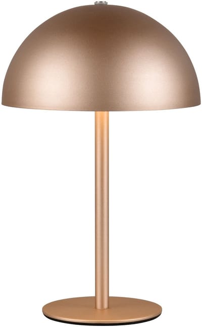 REALITY MUNOZ - Tafellamp - Mokka - incl. 1x SMD 1,3 W - 4-stappen TOUCH - USB-aansluiting - Oplaadbaar - Snoerloos