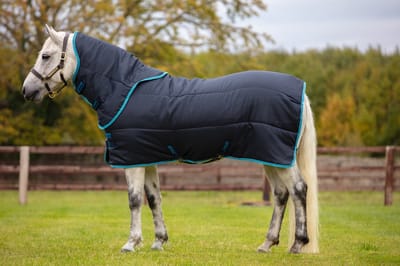 Amigo Insulator Plus Pony Medium 200g Staldeken Navy 75-114 Pony