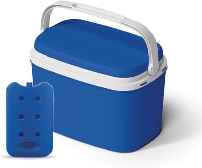Grote koelbox - Voedsel vriezer doos - Eten koel houden - Met 3 ijs packs - 6 Liter - Blauw