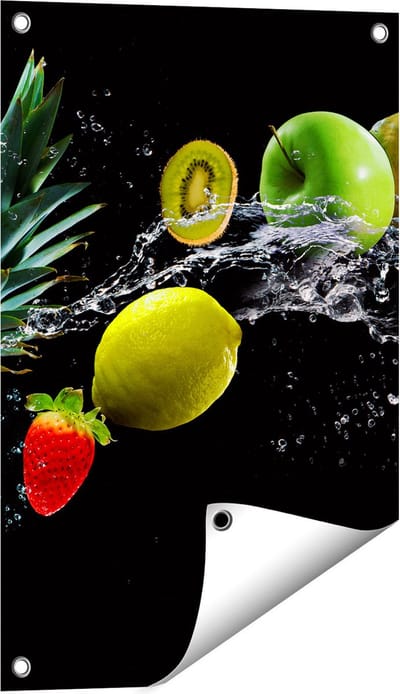 Gards Tuinposter Fruit met Water op Zwart Achtergrond - 40x60 cm - Tuindoek - Tuindecoratie - Wanddecoratie buiten - Tuinschilderij