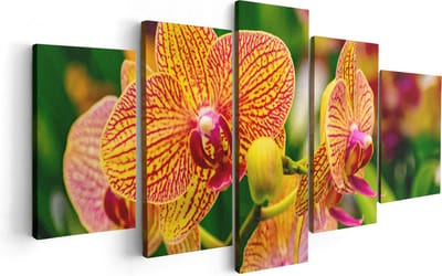 Artaza Canvas Schilderij Vijfluik Geel Rode Orchidee Bloemen - 100x50 cm - Wanddecoratie Woonkamer - Schilderijen - Muurdecoratie