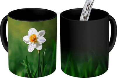 Magische Mok - Foto op Warmte Mokken - Koffiemok - Narcis - Bloem - Wit - Grassprieten - Magic Mok - Beker - 350 ML - Theemok