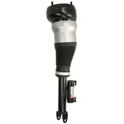 Pneumatische veerpoot MAGNUM TECHNOLOGY APM038MT