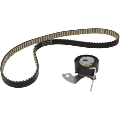 Distributieriemset DAYCO KBIO11
