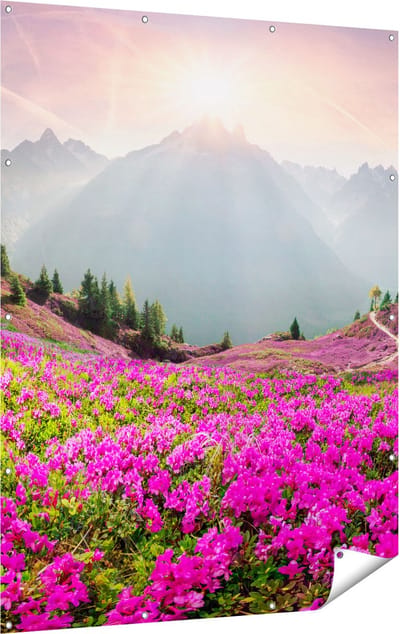 Gards Tuinposter Rhododendron Bloemenveld in de Alpen - 120x160 cm - Tuindoek - Tuindecoratie - Wanddecoratie buiten - Tuinschilderij