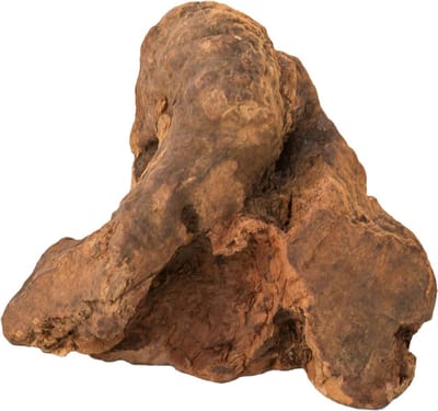 Bubimex - Mediterrane kauwwortel - Maat L - voor honden - 300-500 gram