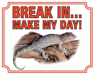 Waakbord - 84 - Gekko - 20x25 cm