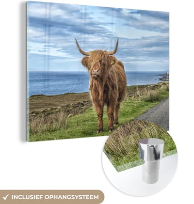 MuchoWow® Glasschilderij 160x120 cm - Schilderij acrylglas - Schotse Hooglander - Water - Horens - Foto op glas - Schilderijen