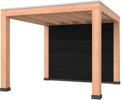 Douglas overkapping, 300 x 300, met zwarte achterwand, Westwood Modern Plus
