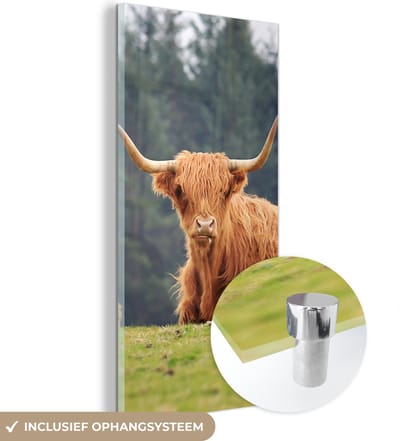 MuchoWow® Glasschilderij 20x40 cm - Schilderij acrylglas - Schotse Hooglanders - Gras - Bos - Foto op glas - Schilderijen